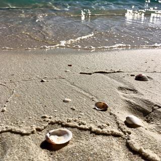 Sand surface at the waterline of a resort beach with shallow clear water